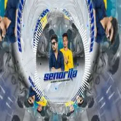 Senorita (Remix) DjRocky Official x Dj Saleem Digal Poster