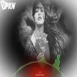 Odhani (Tapori Remix) Poster