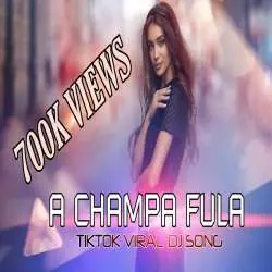 A Champa Fula Sundari Nani (Tapori Edm Remix) Dj Rocky Poster