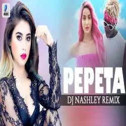Pepeta Remix Nora Fatehi Ray Vanny DJ Nashley Poster