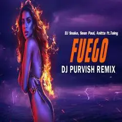 Fuego Remix   DJ Snake, Sean Paul, Anitta ft.Tainy Poster