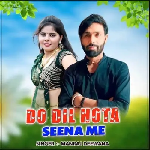 Do Dil Hota Seena Poster
