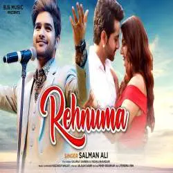 Rehnuma   Salman Ali Poster