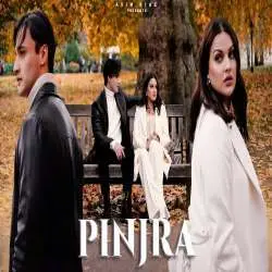 Pinjra (Full Song)   Asim Riaz, Himanshi khurana Poster