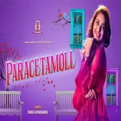Paracetamoll By Sneh Upadhaya Poster
